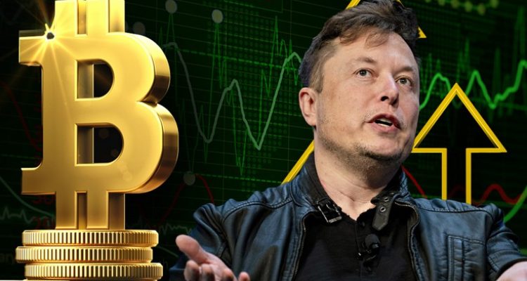 Elon Musk pada Pasar Cryptocurrency